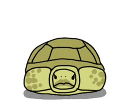 Turtle Life sticker #6321534