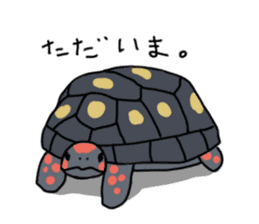 Turtle Life sticker #6321535