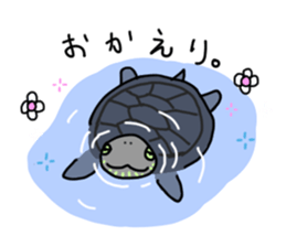 Turtle Life sticker #6321537