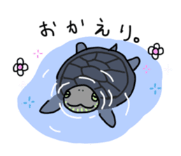 Turtle Life sticker #6321537