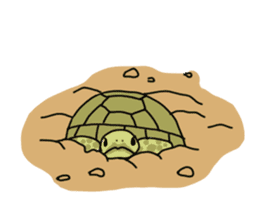 Turtle Life sticker #6321538