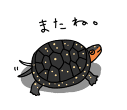 Turtle Life sticker #6321539