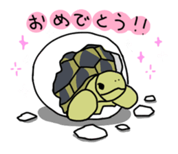 Turtle Life sticker #6321541