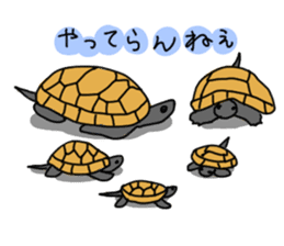 Turtle Life sticker #6321542
