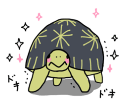 Turtle Life sticker #6321548