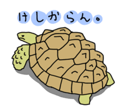 Turtle Life sticker #6321550