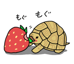 Turtle Life sticker #6321559