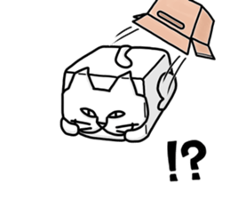 Lot of cats 3 sticker #6321902