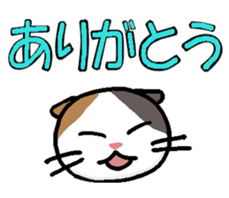 Big character and cat sticker #6324040