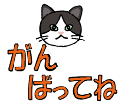 Big character and cat sticker #6324044