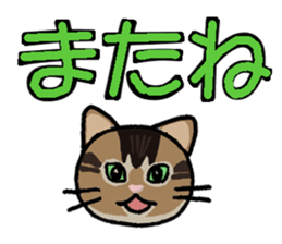 Big character and cat sticker #6324045