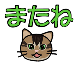 Big character and cat sticker #6324045