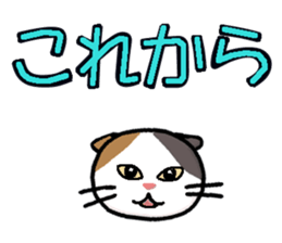 Big character and cat sticker #6324049