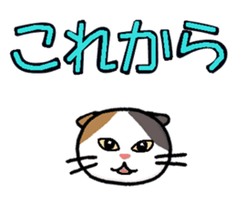 Big character and cat sticker #6324049