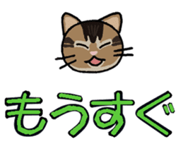 Big character and cat sticker #6324050