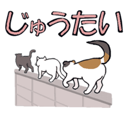 Big character and cat sticker #6324056