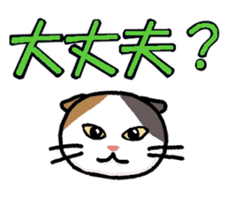 Big character and cat sticker #6324062