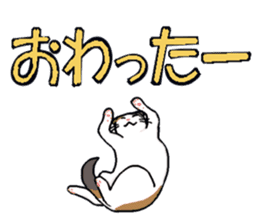 Big character and cat sticker #6324063