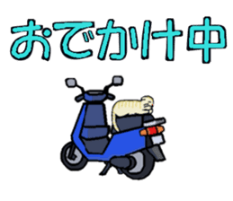 Big character and cat sticker #6324065