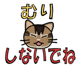 Big character and cat sticker #6324067