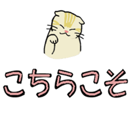 Big character and cat sticker #6324076