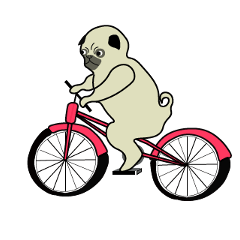 A wide-eyed pug Yamadakun's fun life