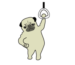 A wide-eyed pug Yamadakun's  fun life sticker #6325202