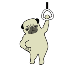 A wide-eyed pug Yamadakun's fun life sticker #6325202