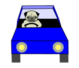 A wide-eyed pug Yamadakun's fun life sticker #6325203