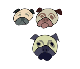 A wide-eyed pug Yamadakun's  fun life sticker #6325206