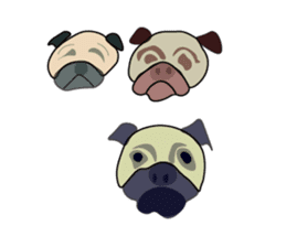 A wide-eyed pug Yamadakun's fun life sticker #6325206