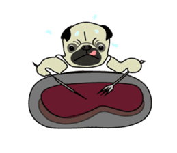 A wide-eyed pug Yamadakun's  fun life sticker #6325213