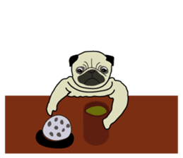 A wide-eyed pug Yamadakun's fun life sticker #6325214