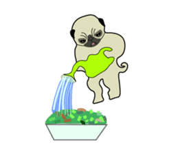 A wide-eyed pug Yamadakun's fun life sticker #6325221