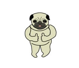 A wide-eyed pug Yamadakun's fun life sticker #6325228