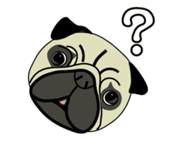 A wide-eyed pug Yamadakun's  fun life sticker #6325236