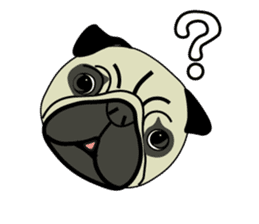 A wide-eyed pug Yamadakun's fun life sticker #6325236