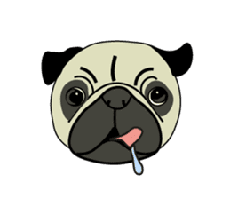 A wide-eyed pug Yamadakun's fun life sticker #6325237