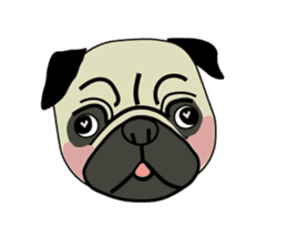 A wide-eyed pug Yamadakun's  fun life sticker #6325238