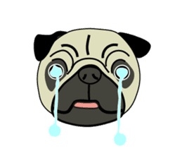 A wide-eyed pug Yamadakun's fun life sticker #6325239