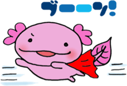 wooper looper woopalu kun sticker #6327252