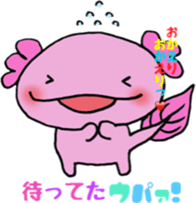 wooper looper woopalu kun sticker #6327272