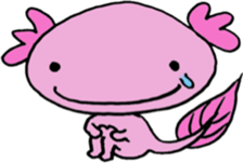wooper looper woopalu kun sticker #6327281