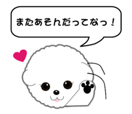 Bichon Frise of Kansai dialect sticker #6328579