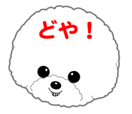 Bichon Frise of Kansai dialect sticker #6328582