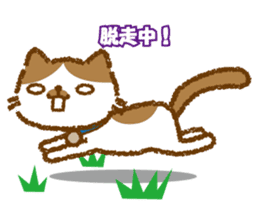 Hassaku CAT sticker #6331110