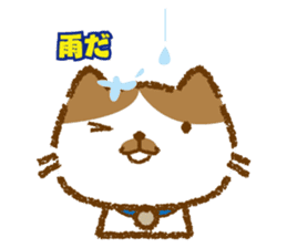 Hassaku CAT sticker #6331114