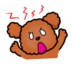 Toy poodle"Niko" sticker #6331413