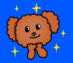Toy poodle"Niko" sticker #6331418