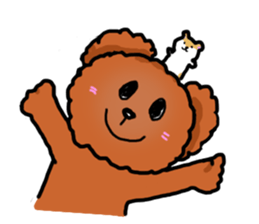 Toy poodle"Niko" sticker #6331420